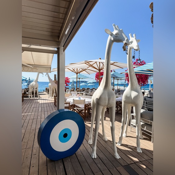 Meet your Posher, Anya - Picture 5 of 16